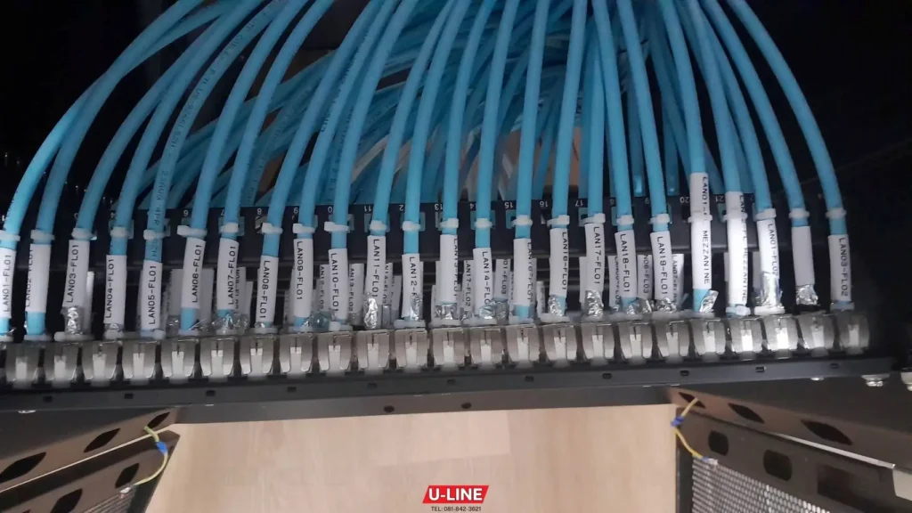 สายแลน (LAN) ในตู้แร็ค (Rack)