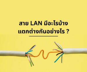 สายแลนมีกี่ชนิด